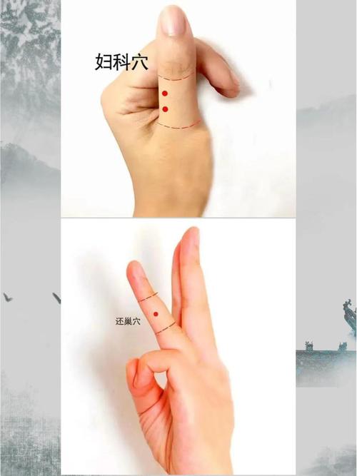 按什么穴位保护卵巢