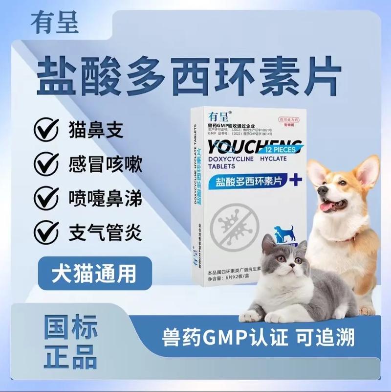 狗狗得了风湿吃什么药