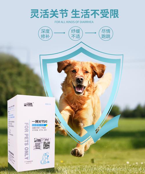 狗狗得了风湿吃什么药