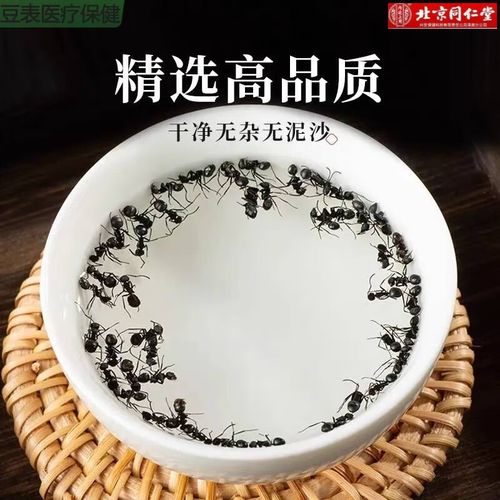 黑蚂蚁治疗类风湿视频