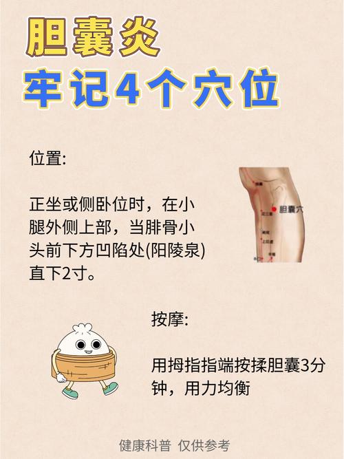 胆囊穴位于哪个部位