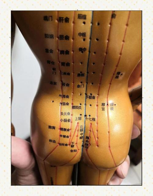 女性哪个穴位按摩好