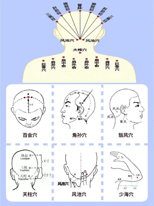 头发穴属于什么穴位