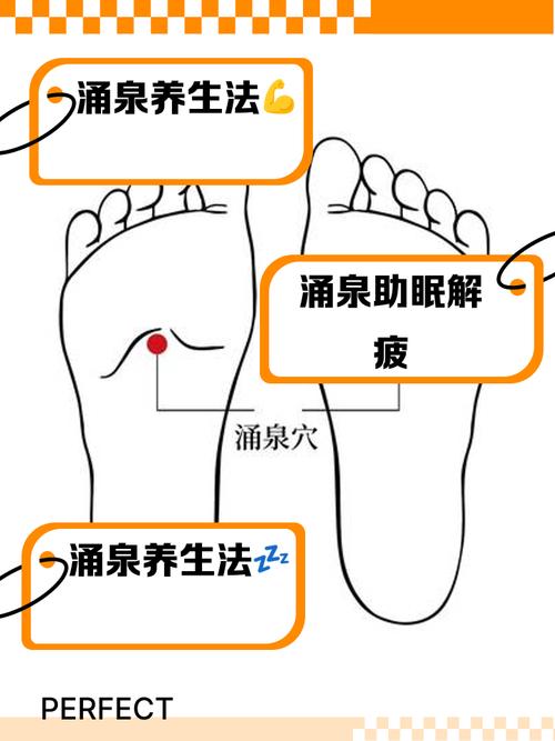 人体穴位水泉的功效