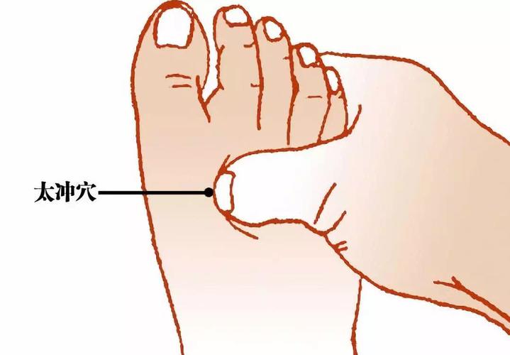 慢性肝病按什么穴位