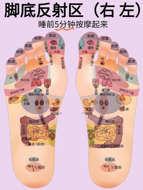 脚穴位按摩图解好处