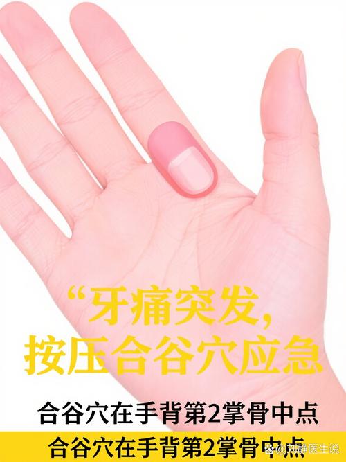 治疗牙疼按什么穴位