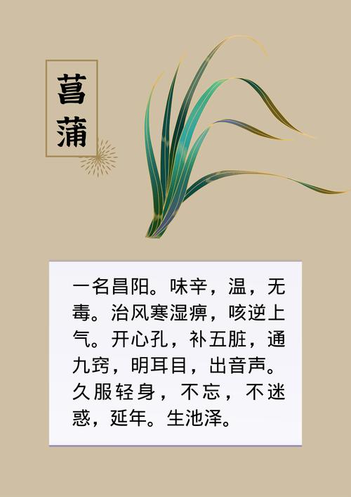 什么中药对风湿有好处