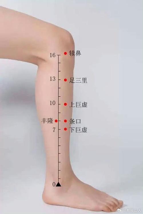 治疗脾虚血虚的穴位