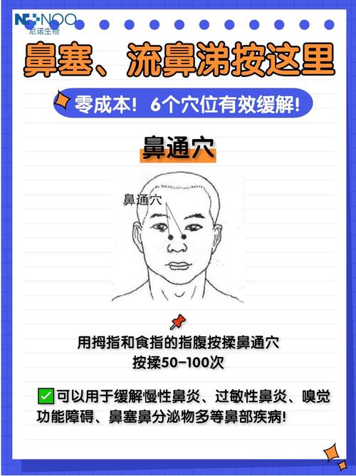 鼻塞可以按哪些穴位