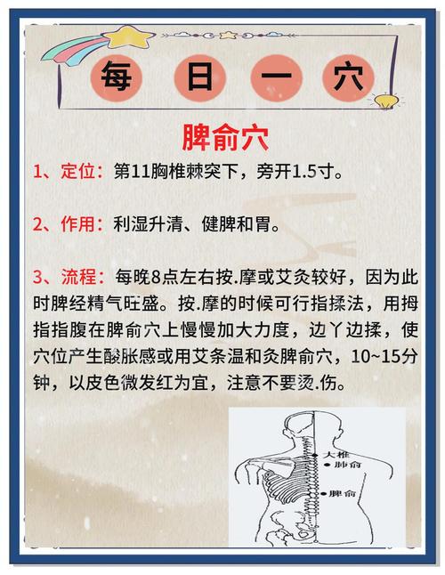 增强脾胃功能的穴位