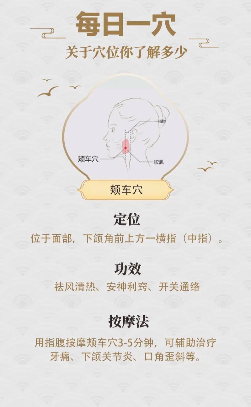 腮腺点什么穴位中医