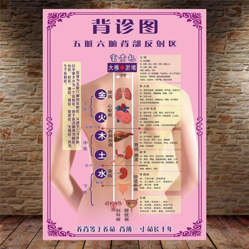 人体背部最主要穴位