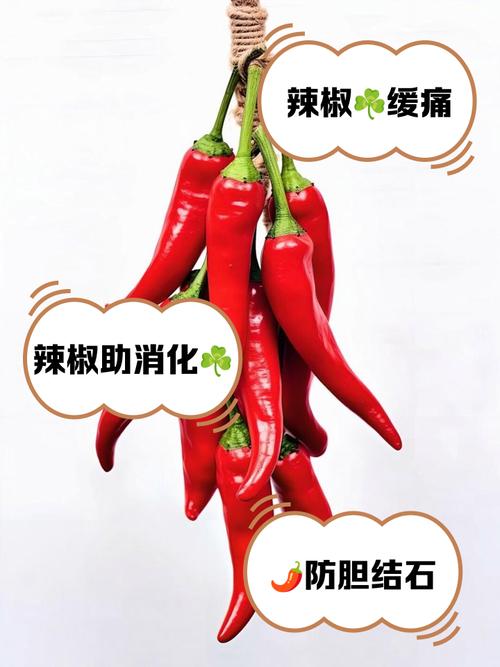 类风湿患者能吃辣椒吗