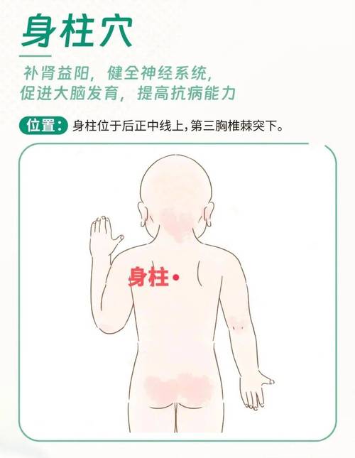 小儿推拿增高的穴位