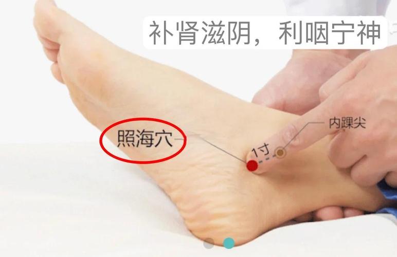 照海穴位在什么位置