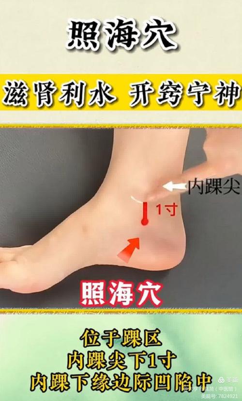 照海穴位在什么位置