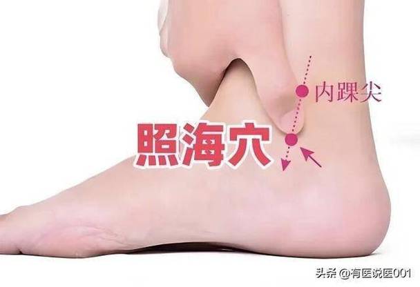 照海穴位在什么位置