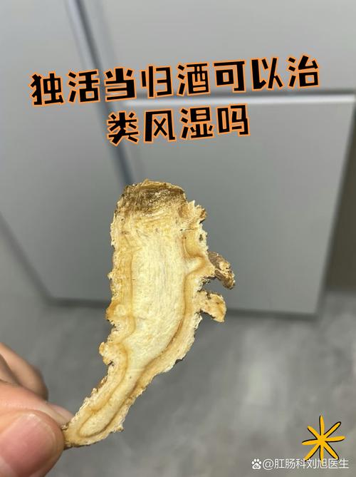 治疗风湿的药酒有哪些