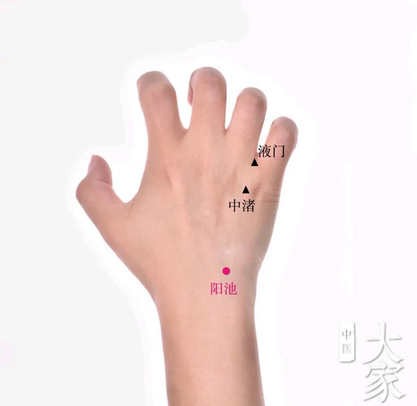 高原反应灸手背穴位