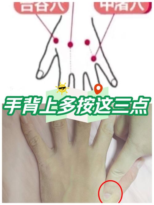 高原反应灸手背穴位