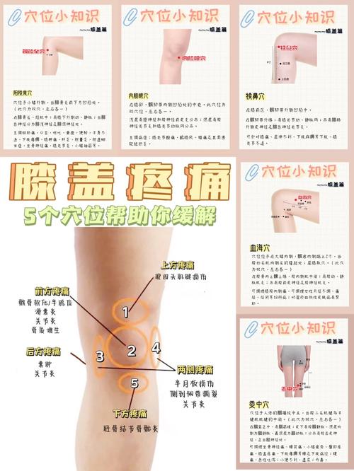 膝盖以下有什么穴位