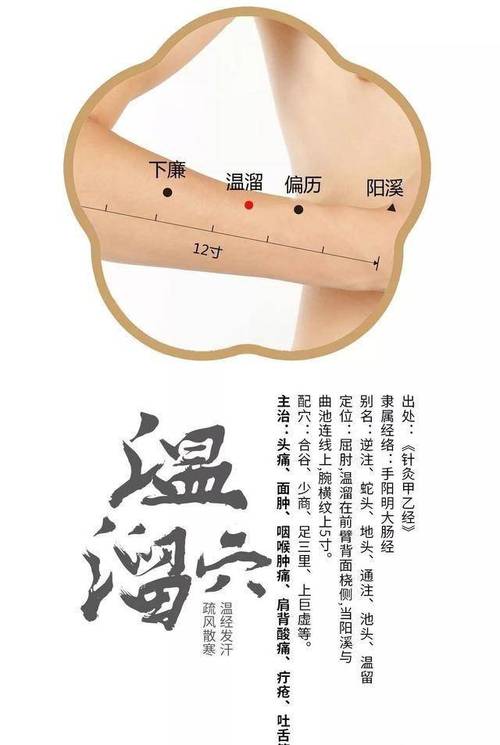 手臂发凉贴什么穴位