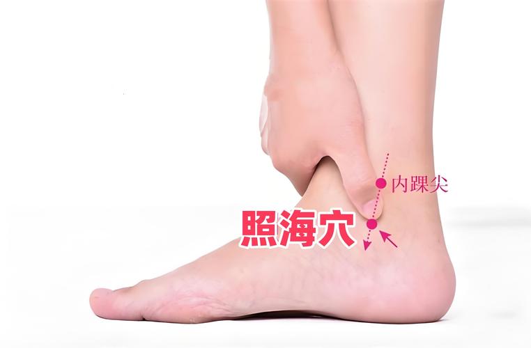 跗阳穴 穴位密码网