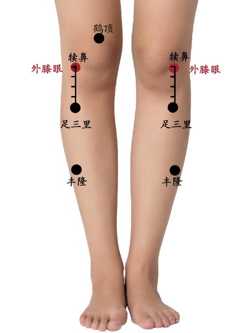 膝眼周围有哪些穴位