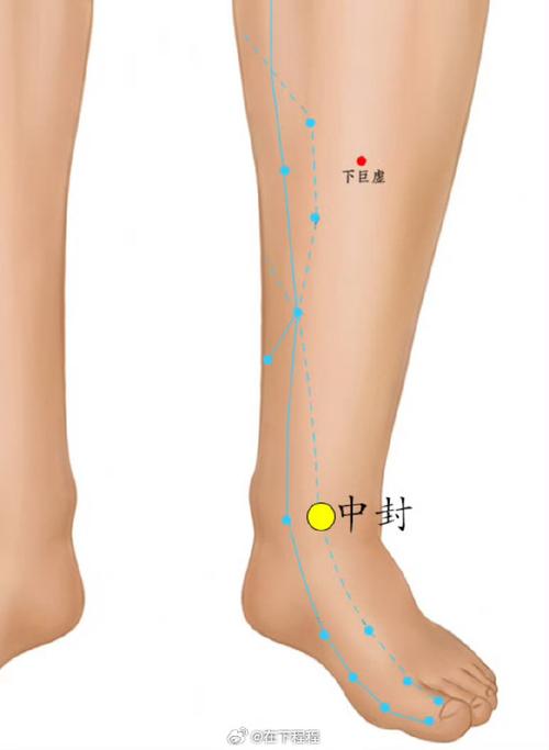 小腿变细的穴位按摩