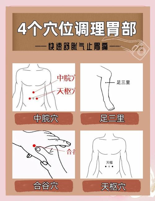 肠胃消化按什么穴位