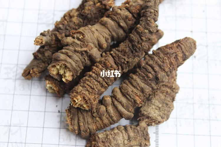 除风湿羌活汤 用药量