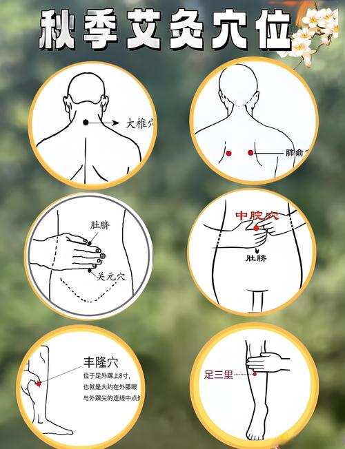 穴位如何去体内风邪