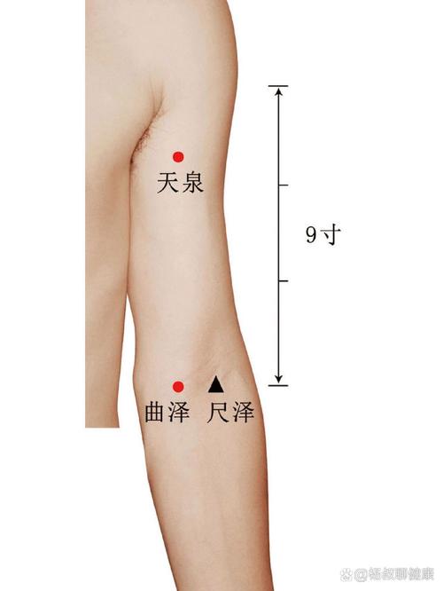 手臂酸麻按什么穴位