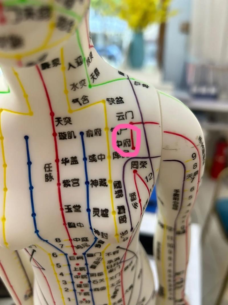 食道炎 针灸穴位