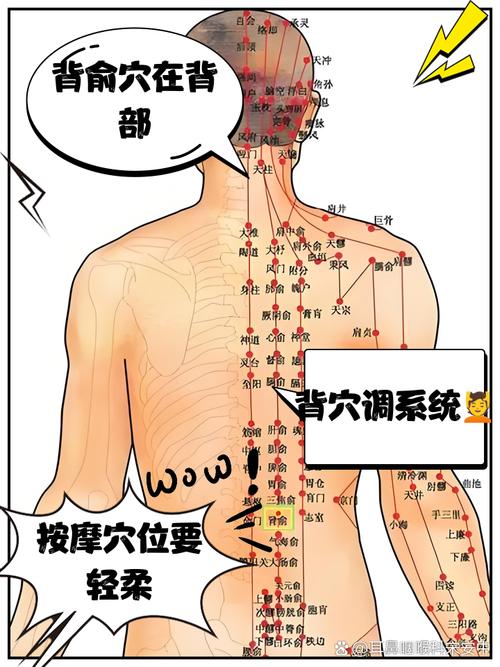 人体穴位背面图男性