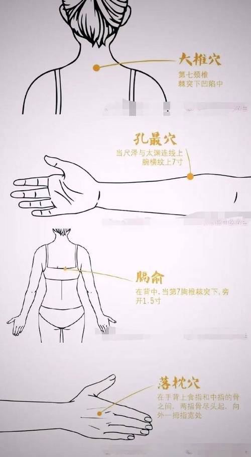 半夜发烧按什么穴位