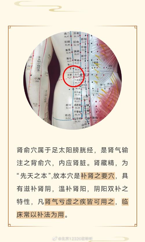 哪个穴位补肾壮阳的