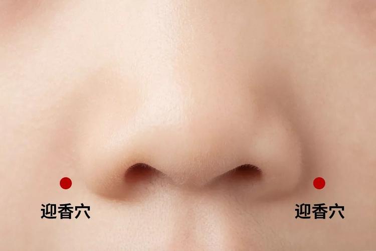 迎香准确位置图穴位