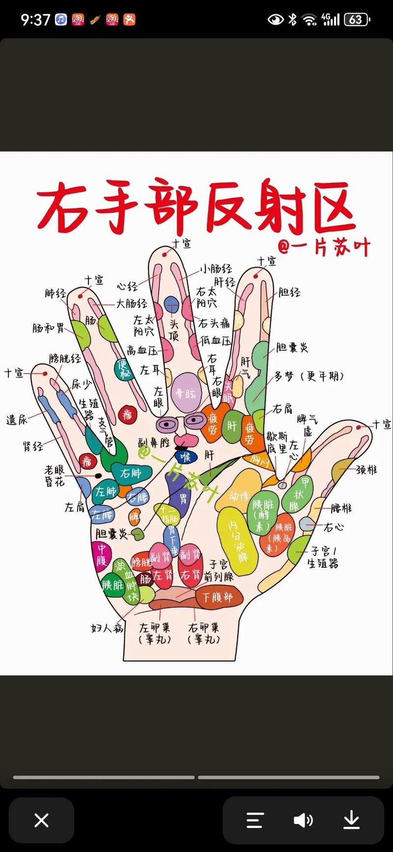 右手的穴位对应内脏