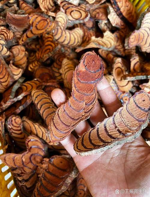 治风湿含有激素的中药