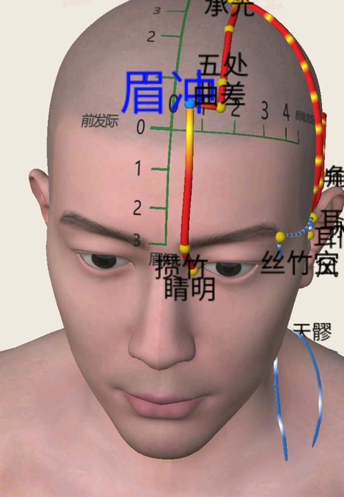 眉头那里是什么穴位