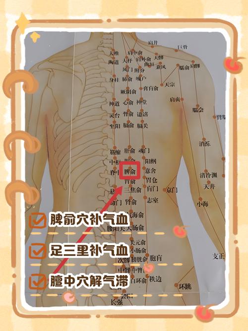 气虚质可对哪个穴位
