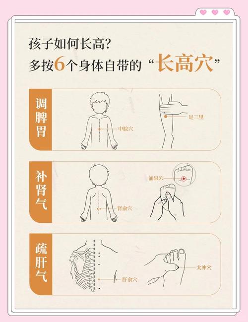 促进骨骼长高的穴位