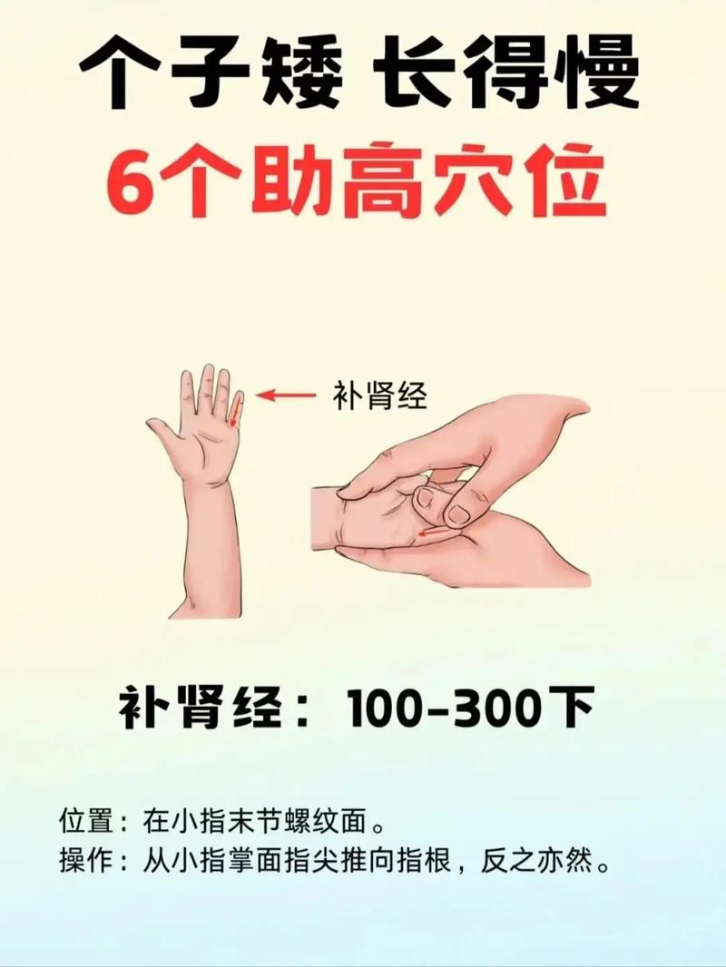 促进骨骼长高的穴位