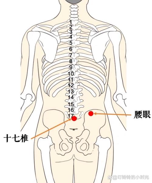 缓解腰疼按哪个穴位
