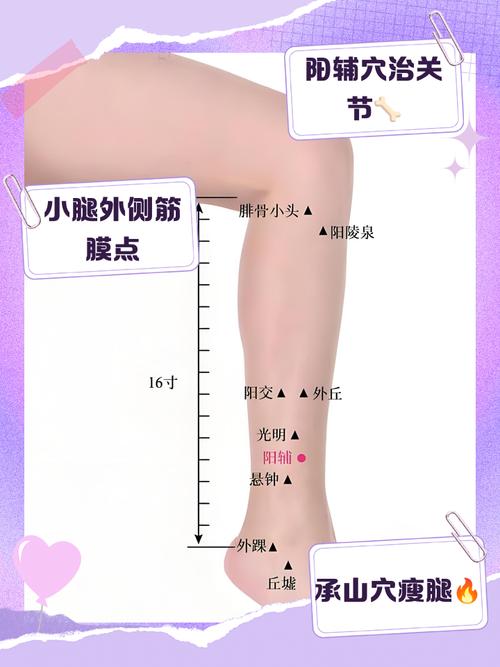瘦小腿肌肉按摩穴位