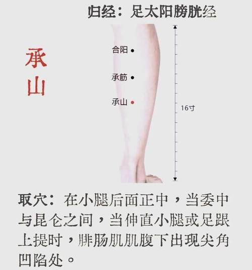 瘦小腿肌肉按摩穴位