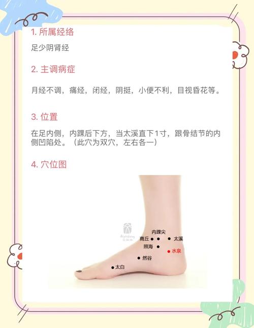 按什么穴位有助排尿