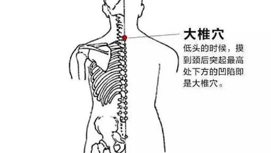 胸椎疼针灸什么穴位